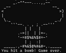 Bomb explosion